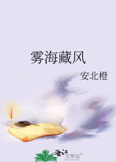 雾海藏风txt百度