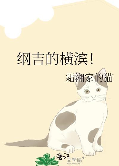 纲吉的横滨晋江
