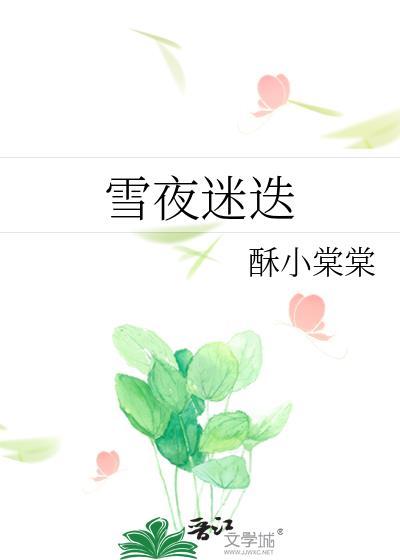 雪夜迷迭TXT资源