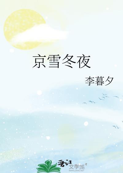 京雪冬夜by李暮夕讲什么