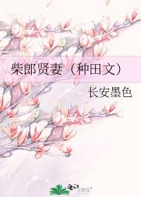 柴郎贤妻阅读全文