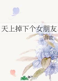 天上掉下个女朋友日本电影