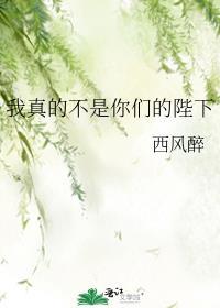 我真不是你们的陛下免费阅读
