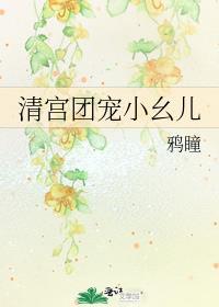 清宫团宠文