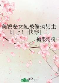 恶毒女配的美貌