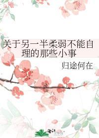 关于另一半柔弱不能自理的那些小事全文