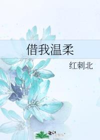 借我温柔红刺北讲什么