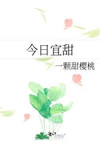 今日宜甜txt
