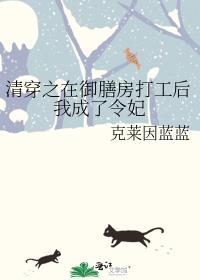 清穿之御前宫女有孕