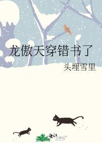 龙傲天穿错书了番外txt
