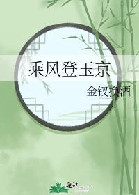 乘风上玉京