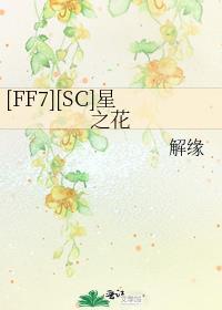 ff7重制版星之神秘书