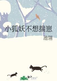 小狐妖不想揣崽txt