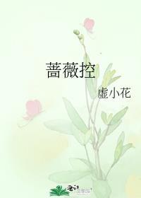 蔷薇控番外结局是什么