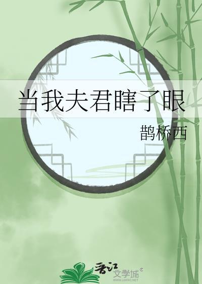当我夫君瞎了眼讲的什么