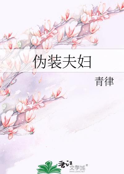 伪装夫妇 日剧