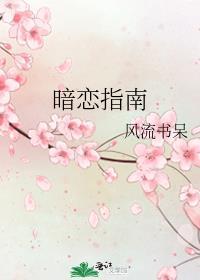 暗恋指南by风流书呆讲的什么