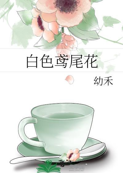 白色鸢尾花的英文