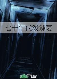 穿越七零年代泼辣女txt