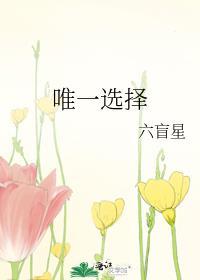 唯一选择by六盲星番外