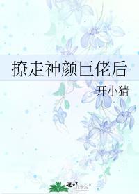 撩走神颜巨佬后txt