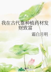 我在古代靠种植药材发财致富免费阅读