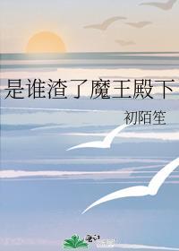 是谁渣了魔王殿下TXT
