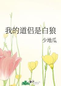 我的道侣来自地球免费阅读