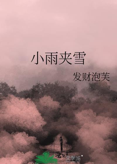 小雨夹雪的诗句