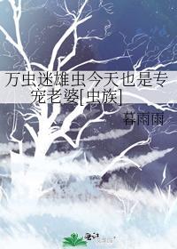 雄虫万人迷团宠文
