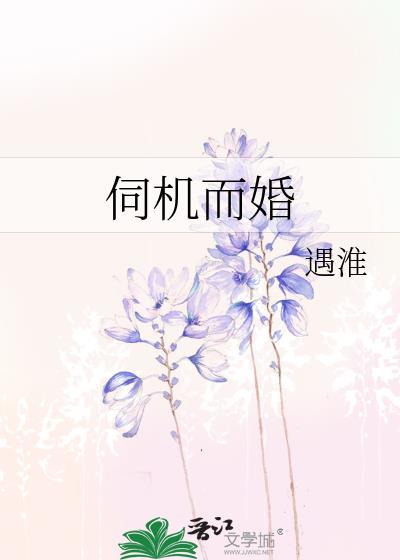 伺机而婚遇淮免费阅读