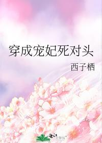 穿成宠妃死对头 西子胡