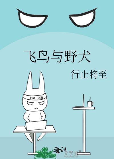 飞鸟与野犬TXT免费