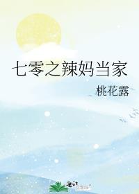 七零之辣妈当家 作者桃花露