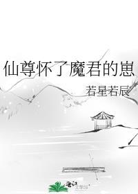 仙尊怀了魔君的种