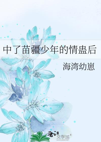 苗疆少年是什么?
