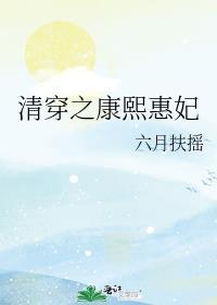 清穿之康熙惠妃txt
