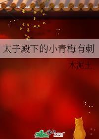 太子殿下宠文