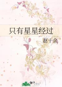 只有星星经过by赵十余