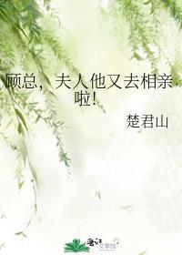 顾夫人她又要离婚了免费全文