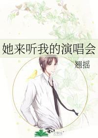 她来听我的演唱会歌词