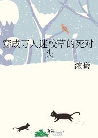 穿成万人迷校草的死对头TXT百度