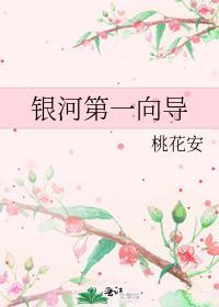 银河第一向导免费阅读