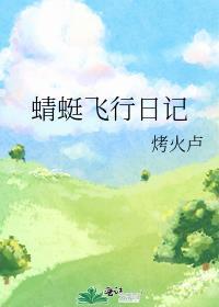 蜻蜓飞行日记主原文