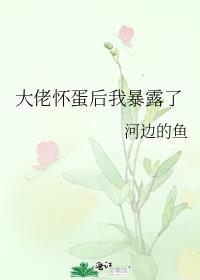 怀了大佬的崽后