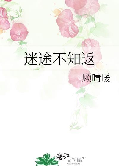 迷途不知返42-哔哩哔哩