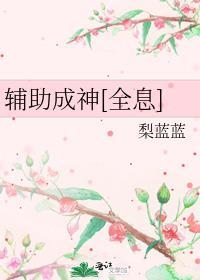 辅助成功是什么意思