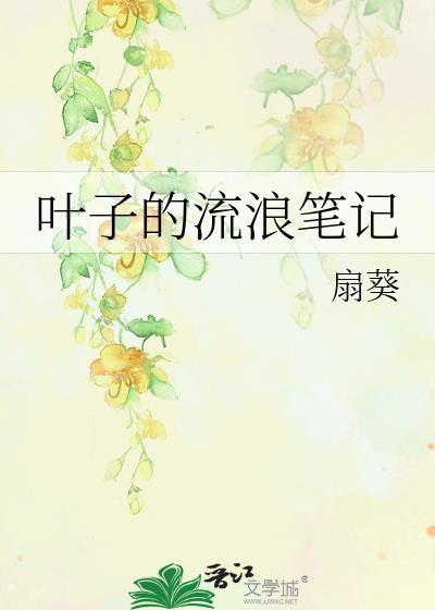 叶子的流浪笔记讲什么