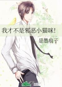 我才不是邪恶小猫咪全文免费阅读