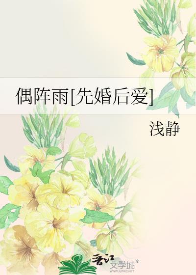 偶阵雨的歌词